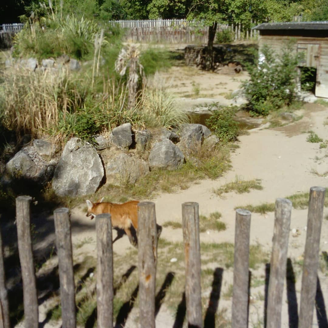 Photo n° 2 de l'avis de Alison.e fait le 07/08/2020 à 12:23