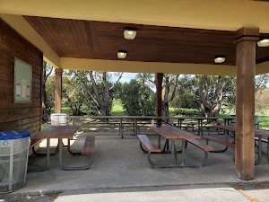Castellow Hammock Preserve & Nature Center - photo 46