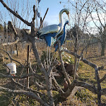 Photo n°8 de l'avis de Fortunato.. fait le 17/01/2019 à 21:40 sur le  Casadesergio à Refrontolo