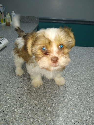 89 Central Ln, Parsons, TN 38363, USA