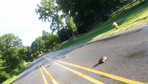 Park «Central City Park», reviews and photos, 36601 Ford Rd, Westland, MI 48185, USA