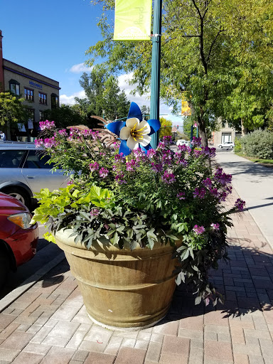 Park «Acacia Park», reviews and photos, 115 E Platte Ave, Colorado Springs, CO 80903, USA