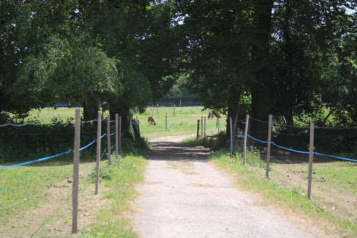 Écurie de l'Étoile 29 à Gouesnac'h, Finistère