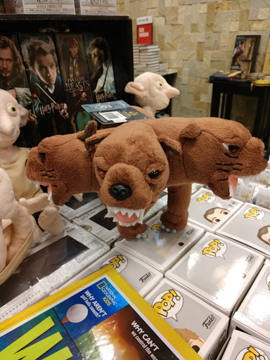 Book Store «Barnes & Noble», reviews and photos, 2601 Preston Rd #1204, Frisco, TX 75034, USA