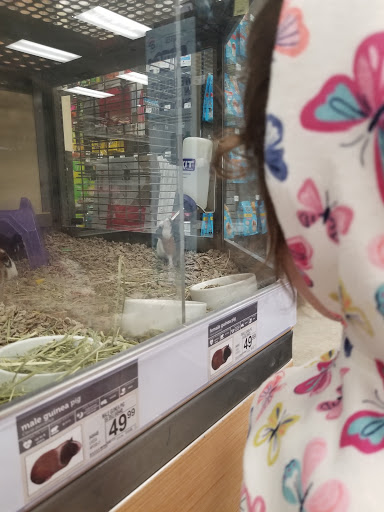Pet Supply Store «Petco Animal Supplies», reviews and photos, 25451 Horace Harding Expy, Little Neck, NY 11362, USA