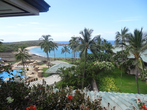 Travel Agency «Roseville Travel», reviews and photos, 201 Pacific St, Roseville, CA 95678, USA