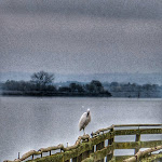 Photo n°5 de l'avis de Mauro.i fait le 11/12/2023 à 19:32 sur le  Faliero Torta d'la Maria à Montebuono