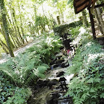 Photo n°1 de l'avis de Vittoria.o fait le 28/07/2018 à 10:32 sur le  Le Sorgenti Ospitale à Fanano