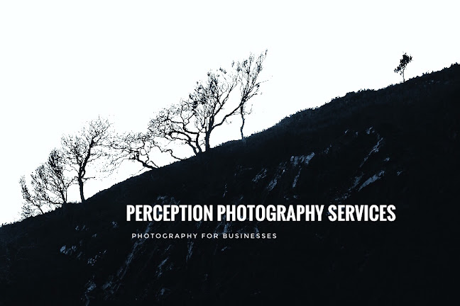 Perception Photography Services