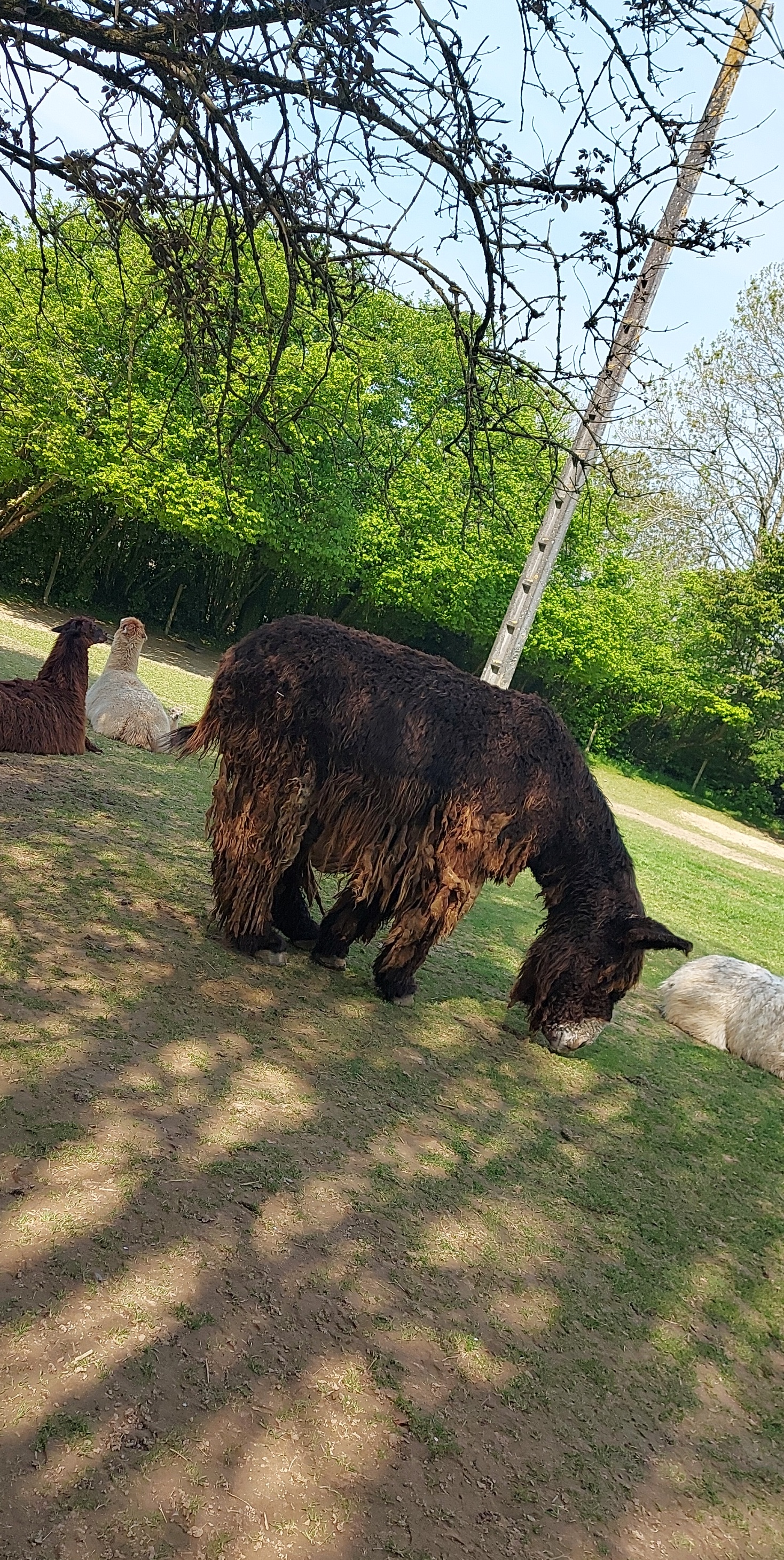 Photo n° 11 de l'avis de Mél.i fait le 21/04/2022 à 16:37