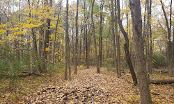 Stigler Nature Preserve