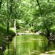 Hammel Woods - DuPage River Access