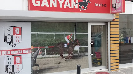 Ganyan Bayi 143