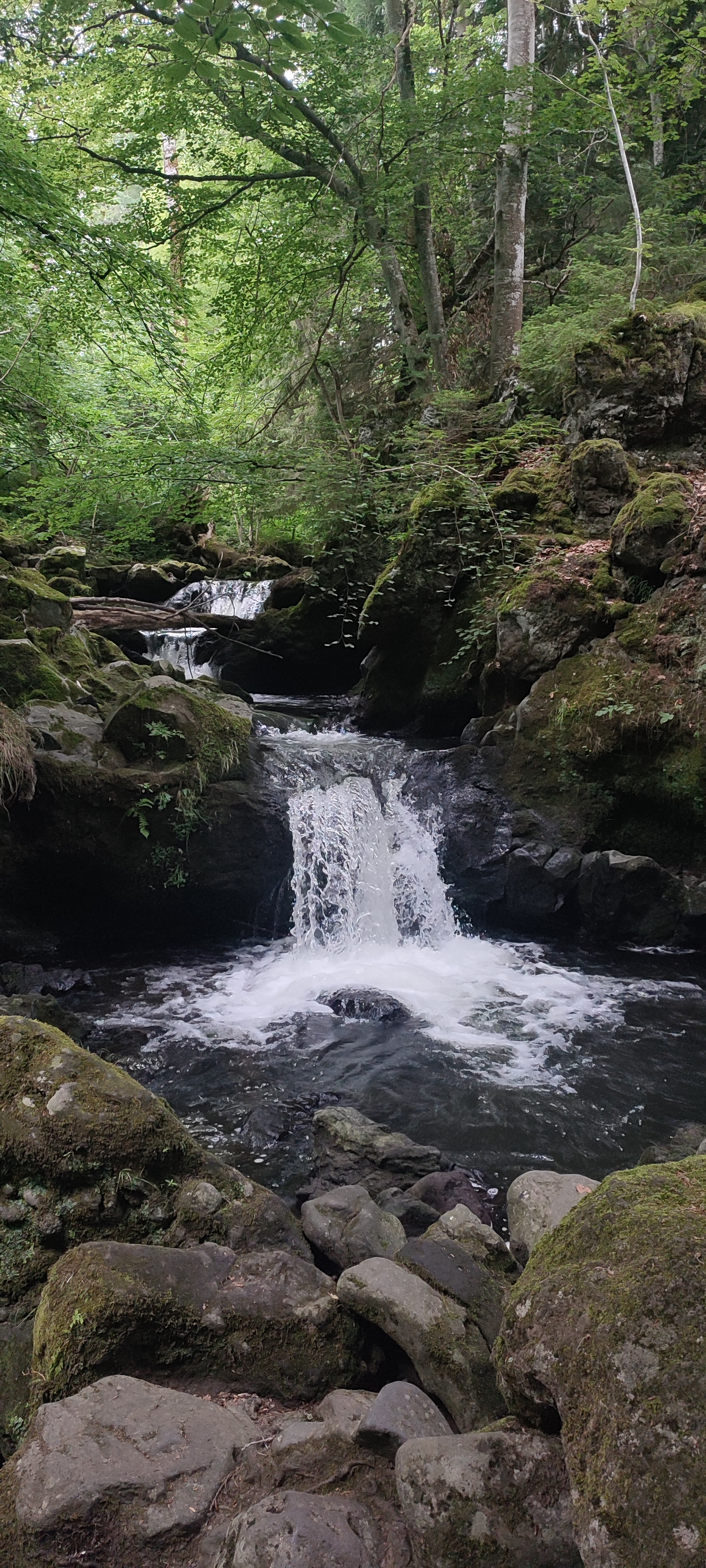 Photo n° 1 de l'avis de Angélique.l fait le 21/07/2023 à 18:41