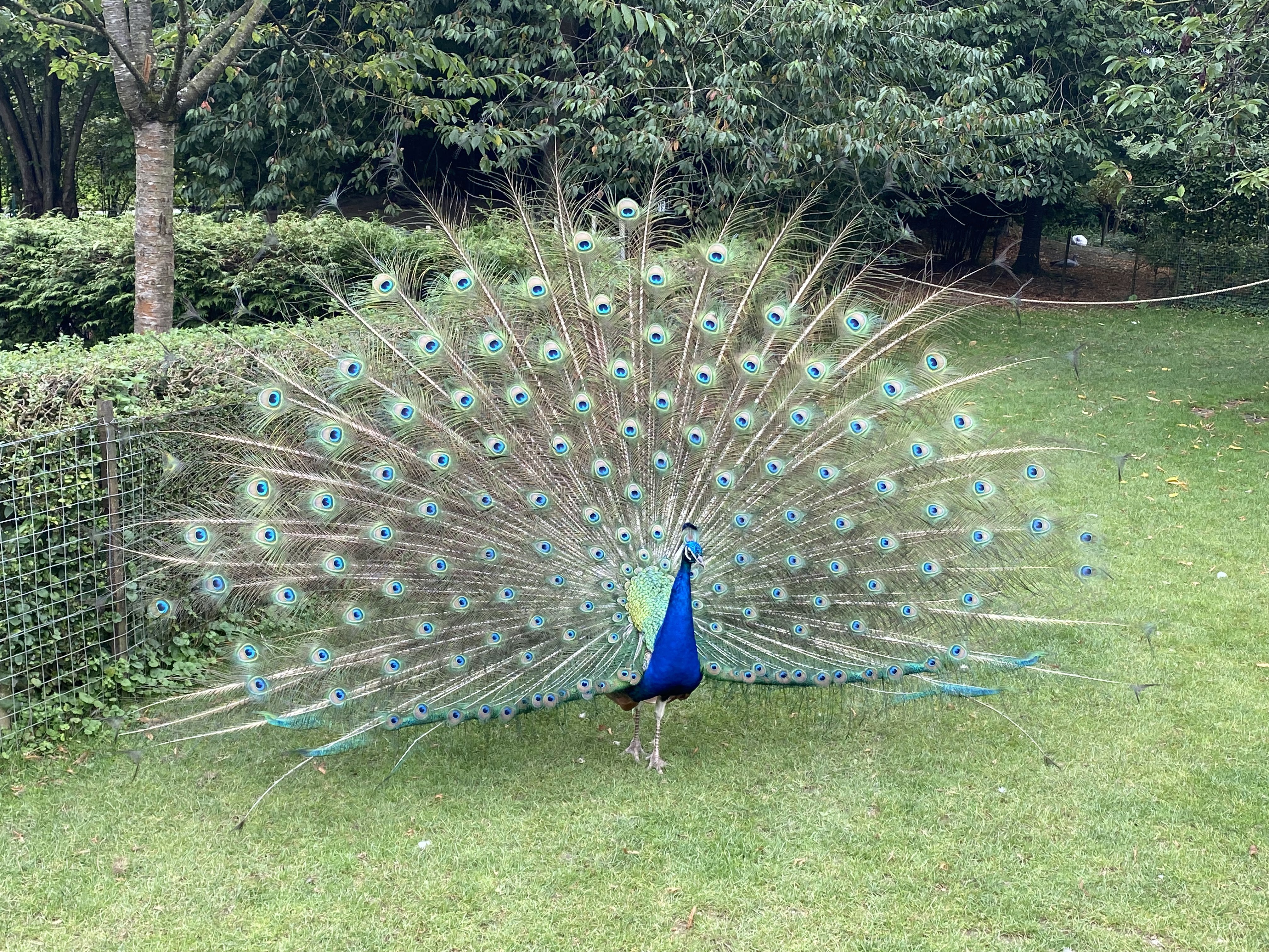 Photo n° 14 de l'avis de Mickael.e fait le 11/08/2023 à 05:54