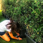 Photo n°14 de l'avis de Paola.o fait le 26/09/2022 à 12:24 sur le  Good à Cagliari