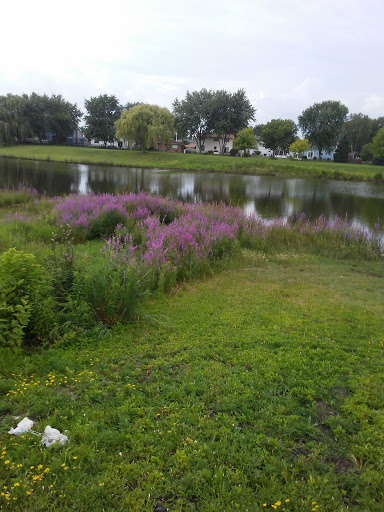 Park «Carol Stream Park District», reviews and photos, 849 W Lies Rd, Carol Stream, IL 60188, USA