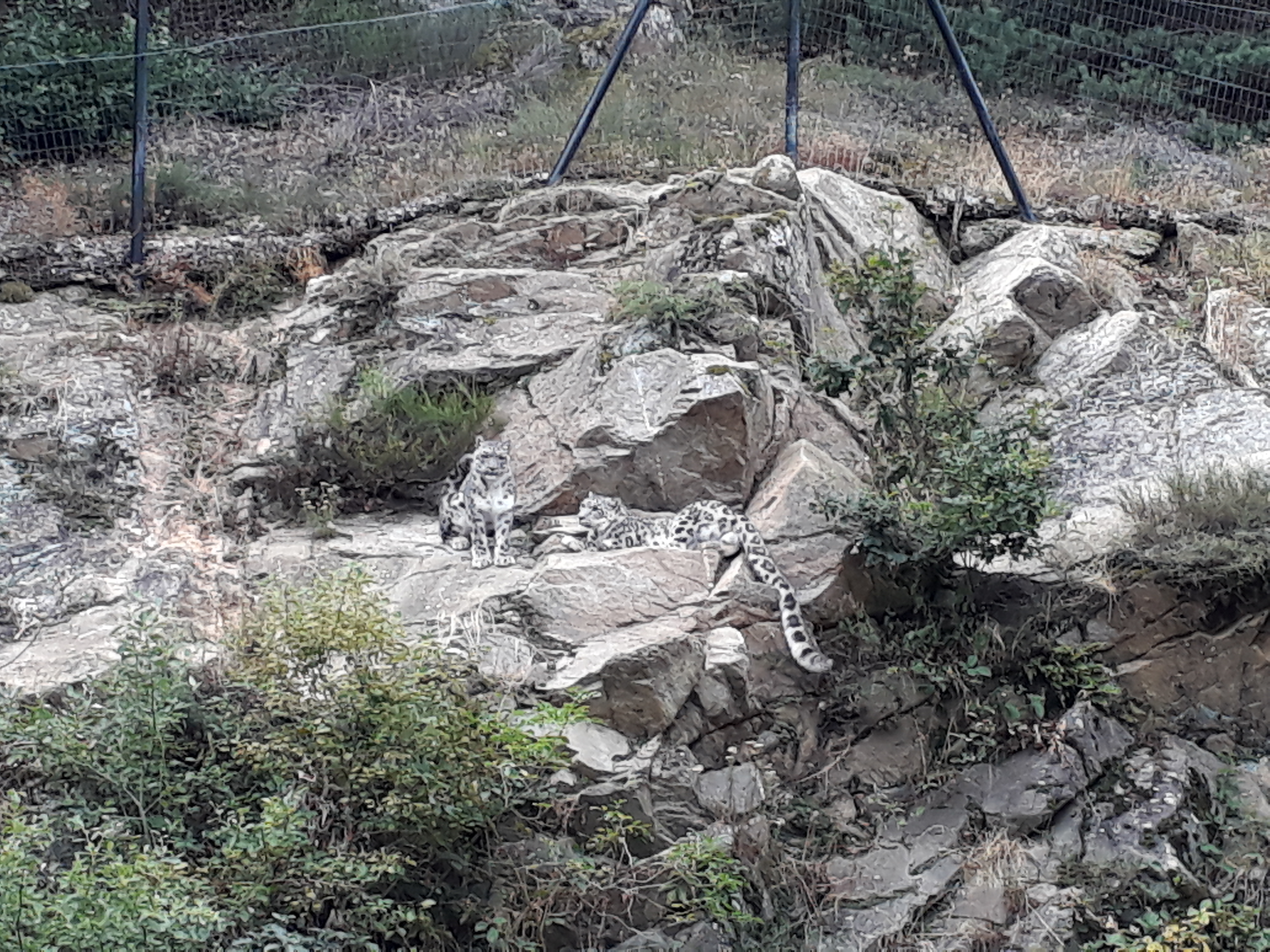 Photo n° 18 de l'avis de Stef.e fait le 15/08/2018 à 14:06