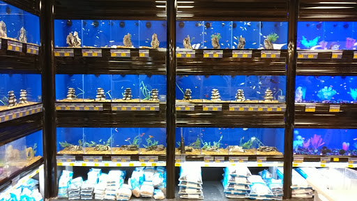 Pet Supply Store «PetSmart», reviews and photos, 15 Dowling Village Boulevard, North Smithfield, RI 02896, USA