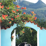 Photo n°3 de l'avis de Donatella.u fait le 23/08/2021 à 12:19 sur le  Hotel Villa Teresa à Casamicciola Terme