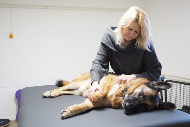 Tier Physiotherapie Anita van der Klooster - Allschwil