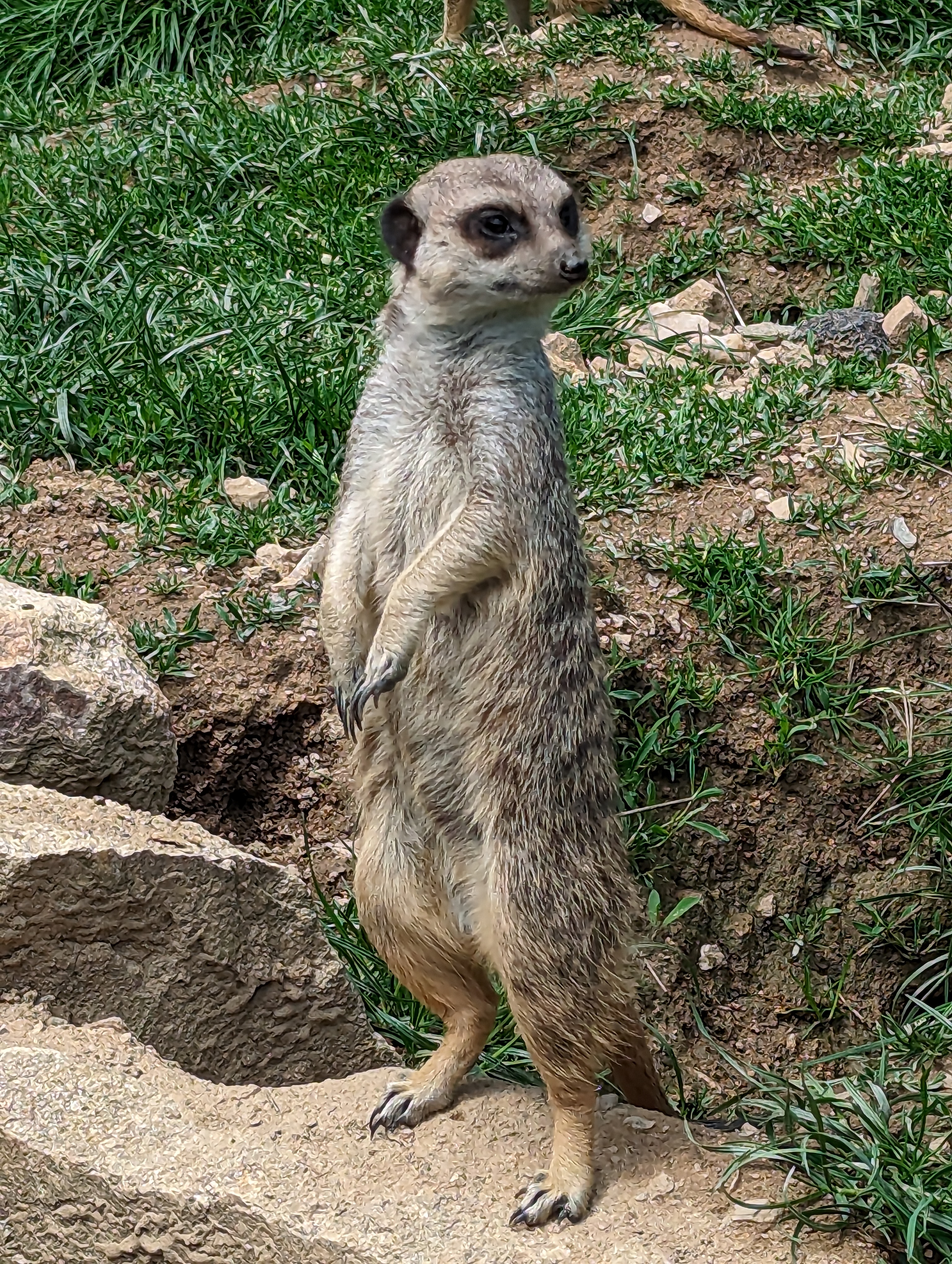 Photo n° 4 de l'avis de Loic.a fait le 15/05/2023 à 17:42