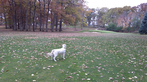 Golf Course «Indian Trails Golf Course», reviews and photos, 2776 Kalamazoo Avenue Southeast, Grand Rapids, MI 49507, USA