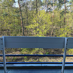 Photo n°6 de l'avis de Nadine.� fait le 10/06/2023 à 18:53 sur le  Müggelseeperle Hotel & Conference Berlin à Berlin