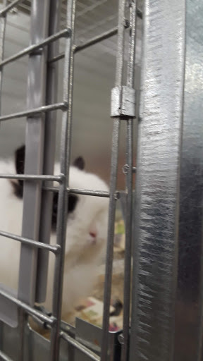 Animal Feed Store «IFA Country Stores», reviews and photos, 1071 Pioneer Rd, Draper, UT 84020, USA