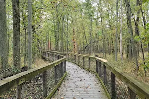 Swallow Hollow Trail / Iroquois National Wildlife Refuge image