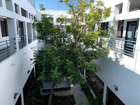 Cole Martinez - Photo 2 - Car repair in Culver City, CA, Inglewood