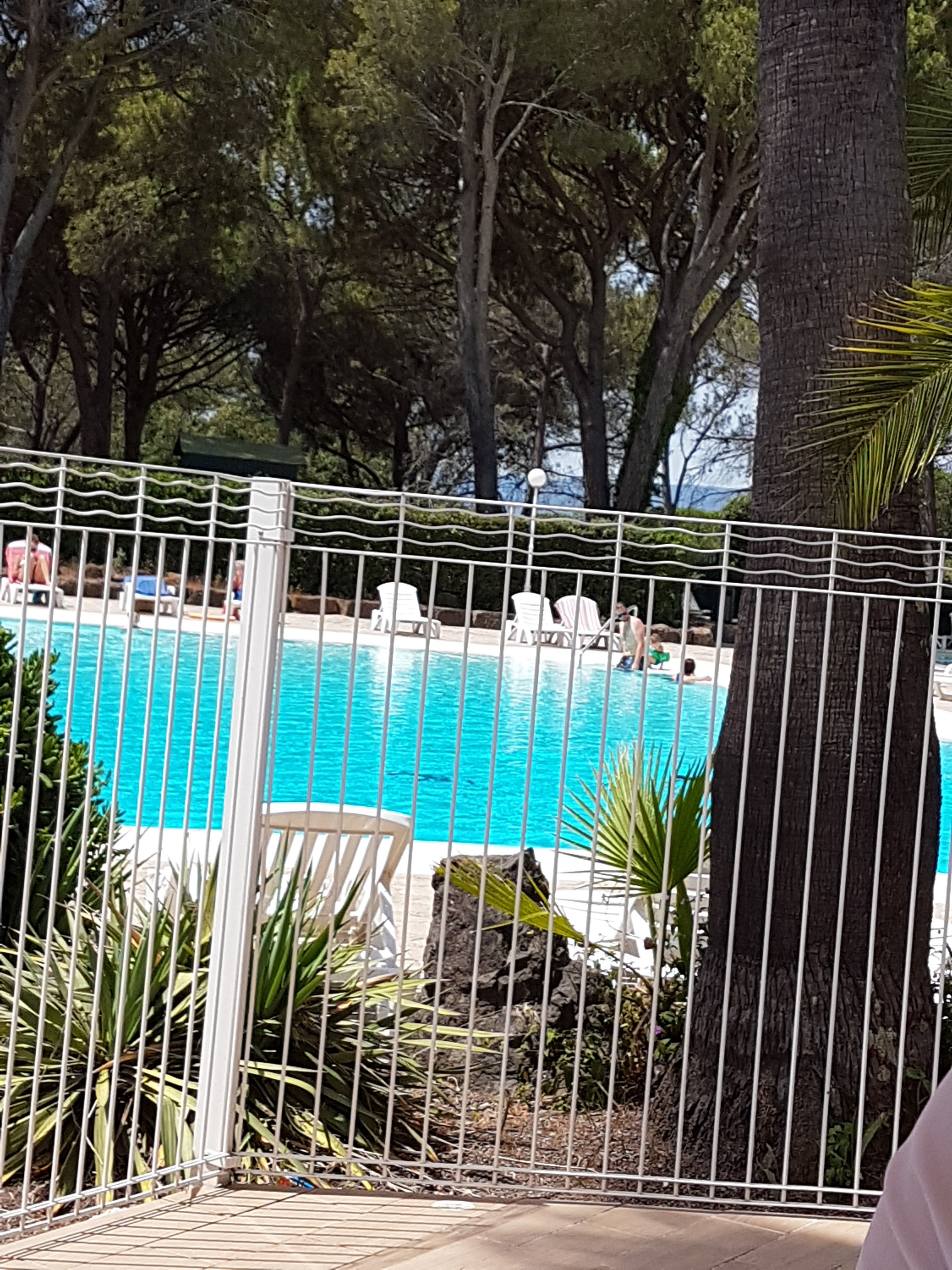 Photo n° 1 de l'avis de Fabrice.U fait le 26/07/2018 à 07:09