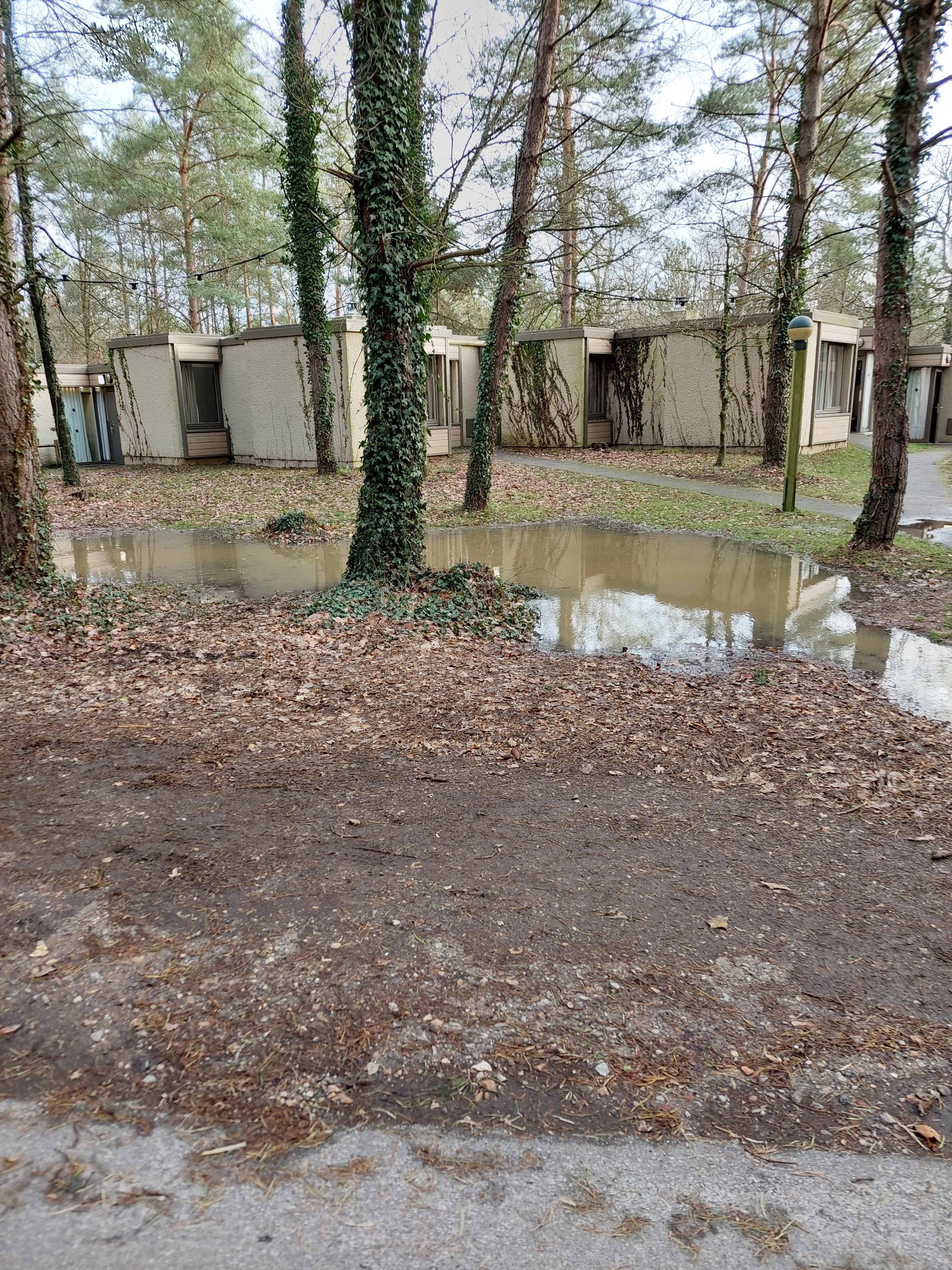 Photo n° 5 de l'avis de patrice.a fait le 03/02/2024 à 13:59