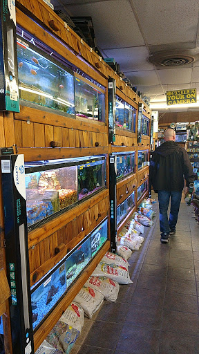 Pet Store «Critter Pet Shop», reviews and photos, 19309 Ecorse Rd, Allen Park, MI 48101, USA