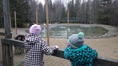 Photos of Ranua Zoo Camping