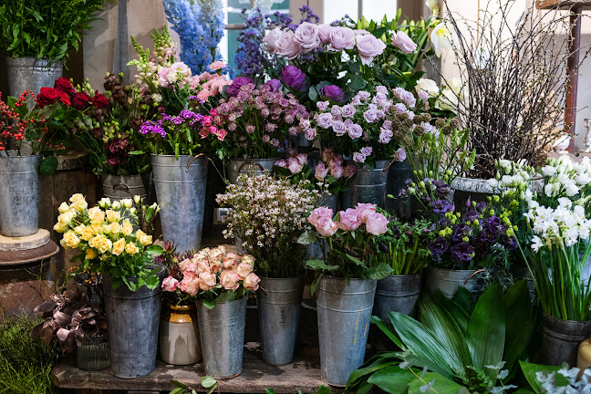Reviews of Beautiful Flowers in Worcester - Florist