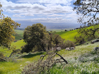 Brushy Peak Regional Preserve