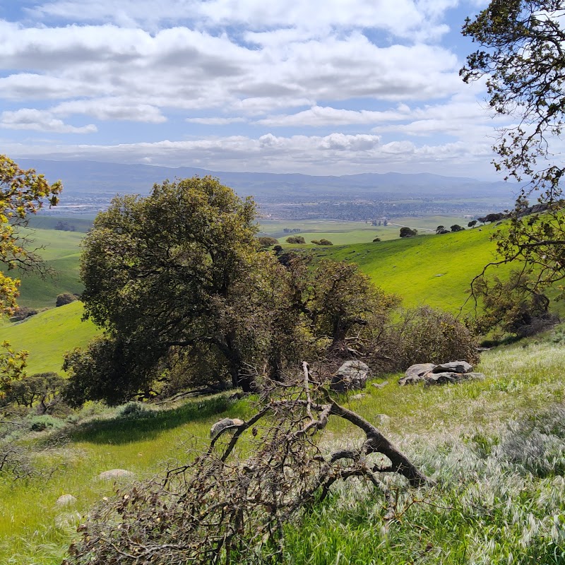 Brushy Peak Regional Preserve