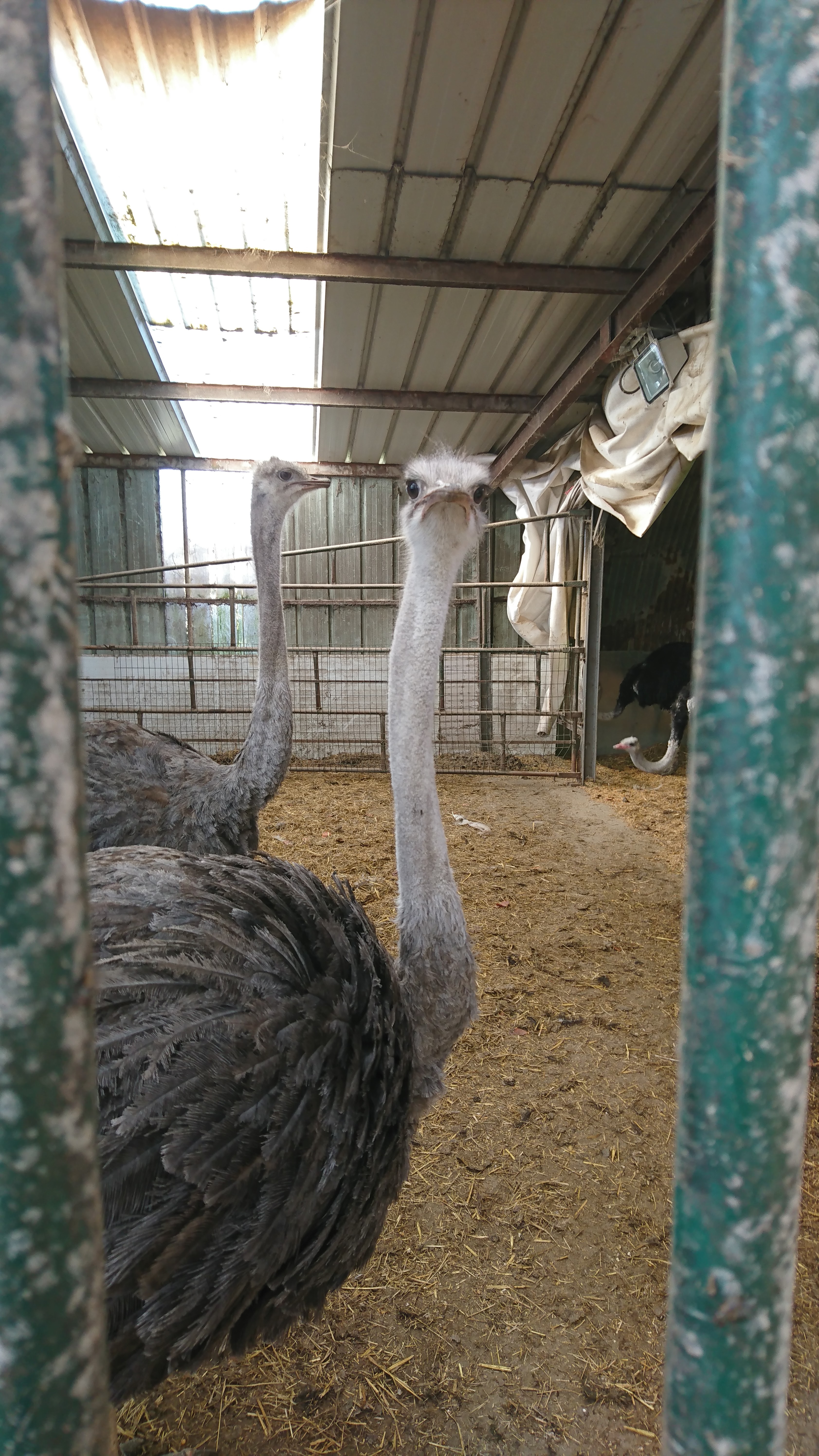 Photo n° 10 de l'avis de Lucienne.C fait le 26/02/2019 à 15:48