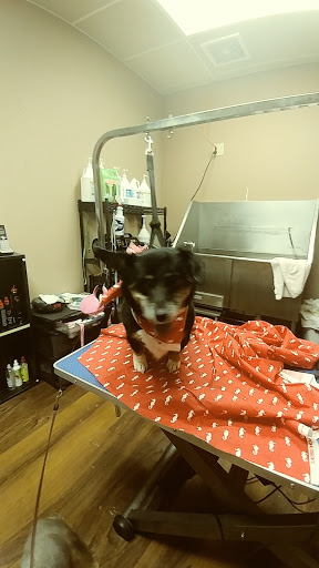 Pet Store «Pet Valu», reviews and photos, 2645 Shillington Rd, Sinking Spring, PA 19608, USA