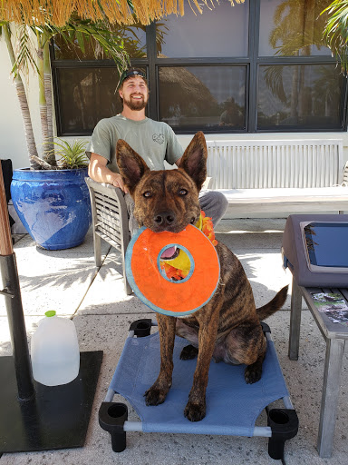 Pet Store «Wholesome Hound», reviews and photos, 198 Tamiami Trail N, Naples, FL 34102, USA
