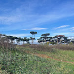 Photo n°2 de l'avis de Autumn.e fait le 09/11/2023 à 15:02 sur le  PINEWOOD HOTEL ROME à Rome