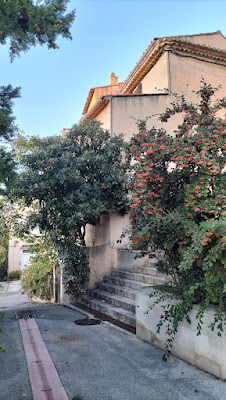 bouc bel air à Bouc-Bel-Air