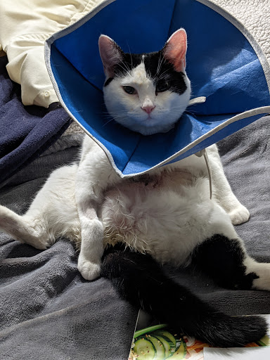 5801 NE 105th Ave, Vancouver, WA 98662, USA