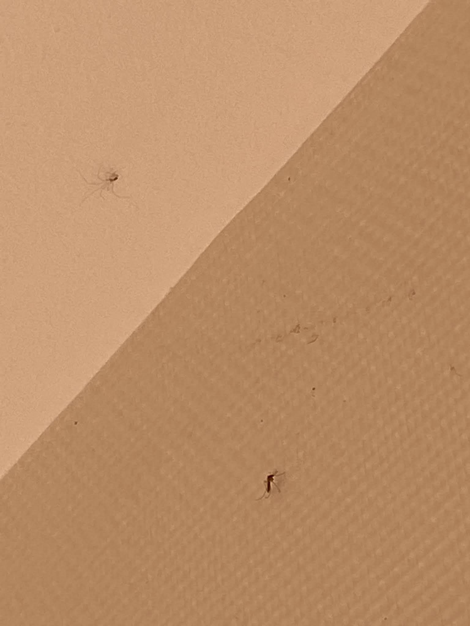 Photo n° 6 de l'avis de Morgan.s fait le 03/03/2021 à 12:53