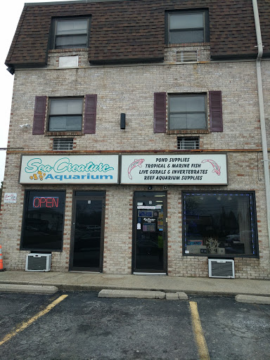 Aquarium Shop «Sea Creature Aquarium», reviews and photos, 1455 Mineral Spring Ave, North Providence, RI 02904, USA
