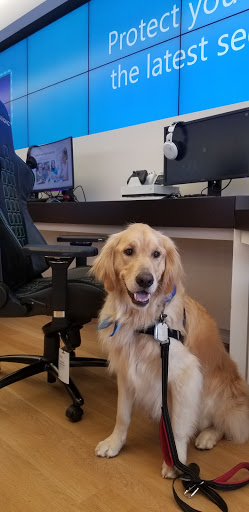 Computer Store «Microsoft Store - The Domain», reviews and photos, 3309 Esperanza Crossing #104, Austin, TX 78758, USA