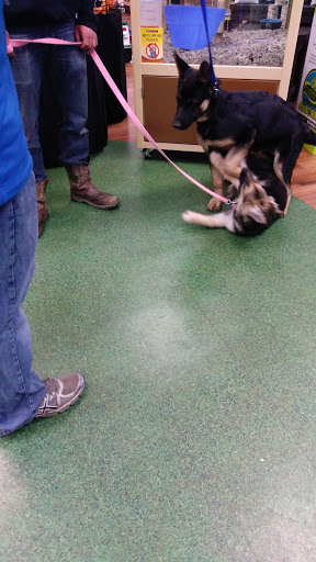 Pet Supply Store «Pet Supermarket», reviews and photos, 2749 S Church St, Burlington, NC 27215, USA