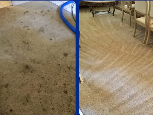 Flash Carpet Steamers
