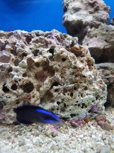 Pet Supply Store «Petco Animal Supplies», reviews and photos, 10 Sylvan St, Peabody, MA 01960, USA